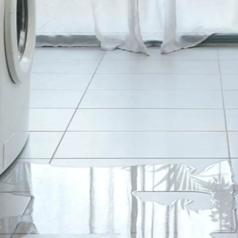 Appliance Leak Cleanup in Cape Girardeau County, MO